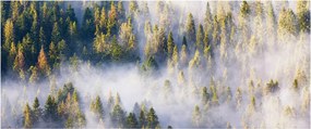 Tablou - Copac în ceață (120x50 cm)