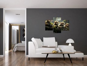 Tablou - Maimuțe (90x60 cm)