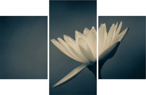 Tablou cu flori (90x60 cm)