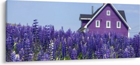 Tablou cu câmp de lavanda (120x50 cm)