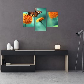 Tablou cu fluture (90x60 cm)