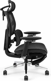 Scaun ergonomic ANEW ARYSE D6, Suport lombar dublu adaptiv 360°, Cotiere 5D, Tetieră 3D, Șezut mesh, Mecanism sensibil la greutate, Bază cromată, Suport pentru picioare, Negru