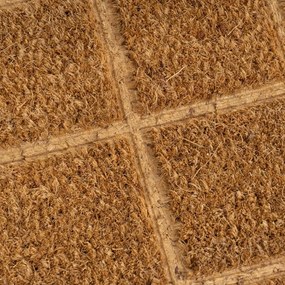Covoraș de intrare din fibre de nucă de cocos 25x75 cm Trazos – Casa Selección