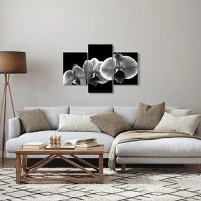Tablou floare de orhidee (90x60 cm)