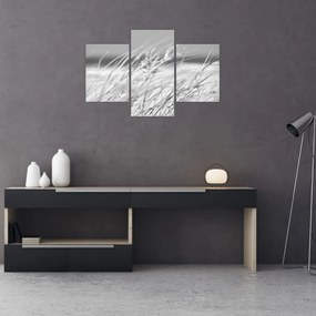 Tablou - Iarbă de plajă (90x60 cm)