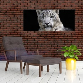 Tablou - Snow Leopard (120x50 cm)