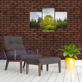 Tablou - Copac verde în câmp (90x60 cm)