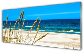 Tablou pe sticla Ocean Beach Peisaj Maro Albastru