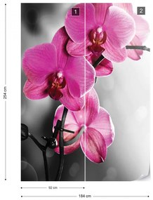 Pink Orchids Flowers Photo Wallpaper Wall Mural