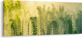 Tablou - Detaliu de primăvară natura cețoasă (120x50 cm)