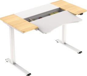 HALDEN birou cu reglare electrică a înălțimii, 120x60 cm alb-burlywood
