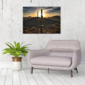 Tablou pe sticlă - cactușii la soare (70x50 cm)
