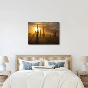 Tablou - Cactuși Saguaro (70x50 cm)