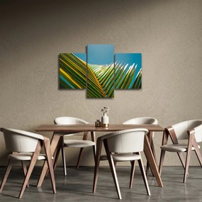 Tablou - Frunze de palmier (90x60 cm)