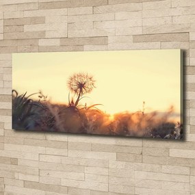 Tablou pe pânză canvas Păpădie
