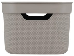 Cutie de depozitare din plastic cu capac Deco - Rotho