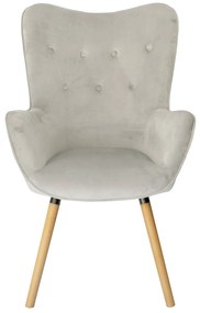 Fotoliu din catifea gri deschis COZY