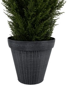Ghiveci din plastic, gri, IROM TIP 1