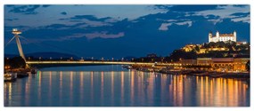 Tablou cu Bratislava și palat (120x50 cm)