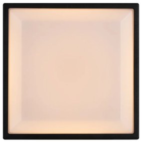 Aplica de perete / tavan exterior IP54 Oliver Black