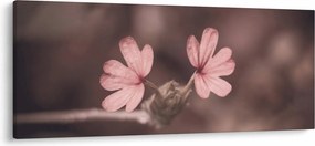 Tablou cu floare roz (120x50 cm)