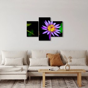 Tablou cu floare (90x60 cm)