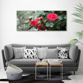 Tablou canvas Camelia