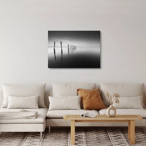 Tablou pe sticlă cu nivelul de lac alb negru (70x50 cm)