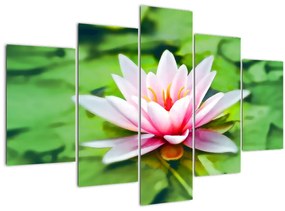 Tablou - Nuferi pe apă (150x105 cm)