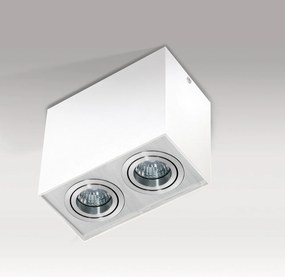 Spot aplicat tavan/plafon stil modern ELOY 2 White/ Alu
