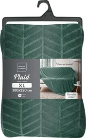 Cuvertură verde din microflanel 180x220 cm Arya – douceur d'intérieur