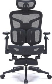 RESIGILAT- Scaun ergonomic premium DeluxStar T9 – cotiere 6D ultra moi, suport lombar adaptiv, spătar reglabil pe inaltime, tetiera 4D, mecanism multifunctional inclinare/blocare, pivotant, Mesh, Negru