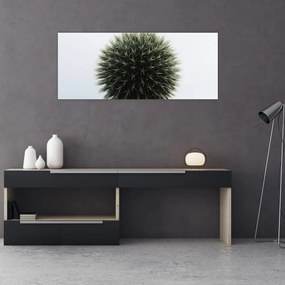 Tablou - Sfere de flori (120x50 cm)