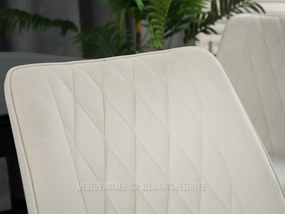 Scaun Aron (crem + negru). 1110860