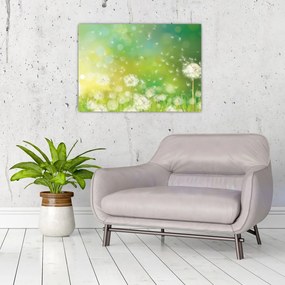 Tablou pe sticlă - Păpădie înflorită (70x50 cm)