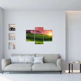 Tablou cu vie cu cerul color (90x60 cm)