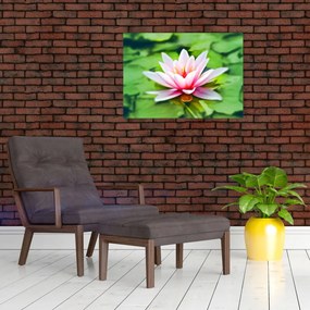 Tablou pe sticlă - Nuferi pe apă (70x50 cm)