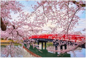 Tablou - Hirosaki, Japonia (90x60 cm)