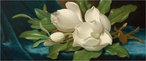Tablou - Martin Johnson Heade, Giant Magnolias on a Blue Velvet Cloth, reproducere (120x50 cm)