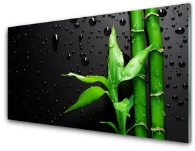 Tablou pe sticla Frunze de bambus verde florale negru