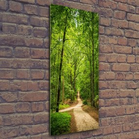Fotografie imprimată pe sticlă Calea în pădure