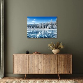 Tablou cu lacul înghețat și copacii înzăpeziți (70x50 cm)
