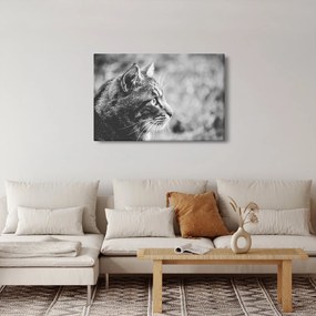 Tablou - Pisica (90x60 cm)