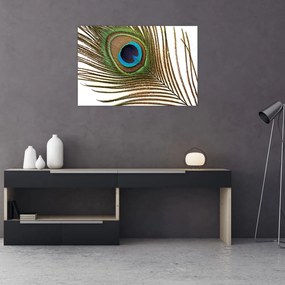 Tablou cu pene de păun (90x60 cm)