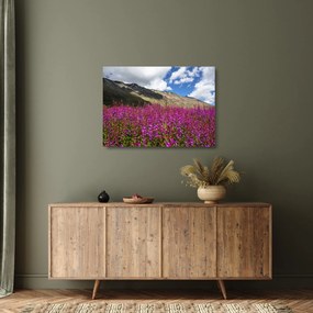 Tablou pe sticlă sceneriei cu lunca montană (70x50 cm)