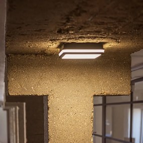 Plafonieră LED de exterior cu senzor Kanlux 38780 BENO 24/30W/230V 3000/3500/4000K IP65 antracit