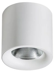 Spot LED aplicat tavan/plafon MANE 30W alb