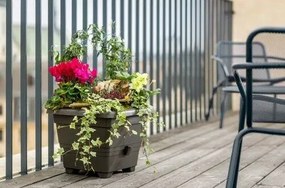 Plastia Ghiveci cu auto-apărare Bergamot,ciocolată, 60 x 60