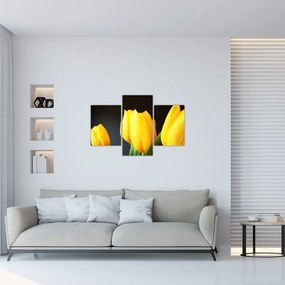 Tablou cu lalele (90x60 cm)