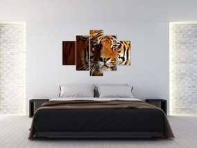 Tablou cu tigrul (150x105 cm)